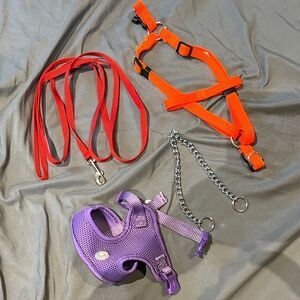 Lot of Pet Harness and Leash Set